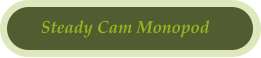 Steady Cam Monopod